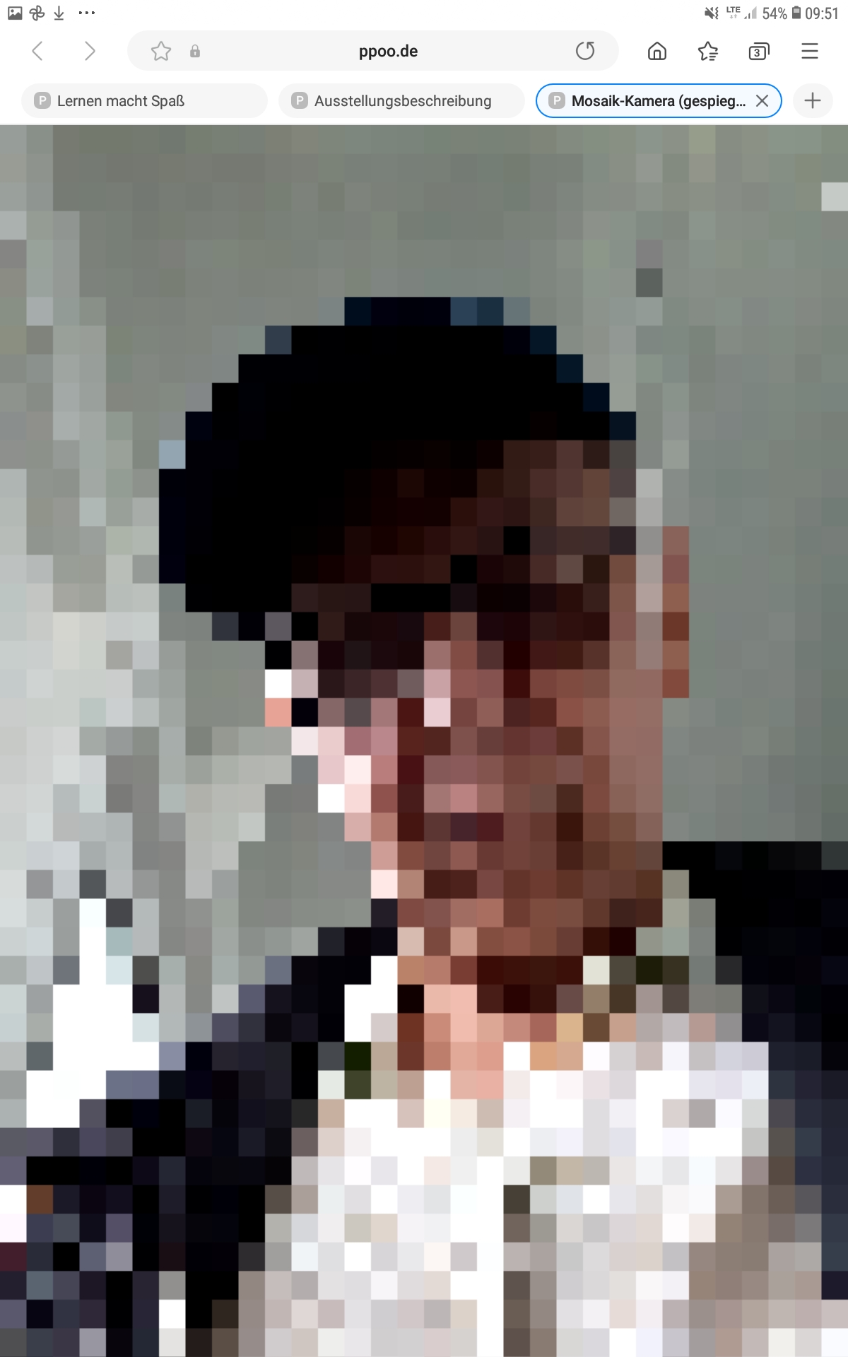 Mosaik